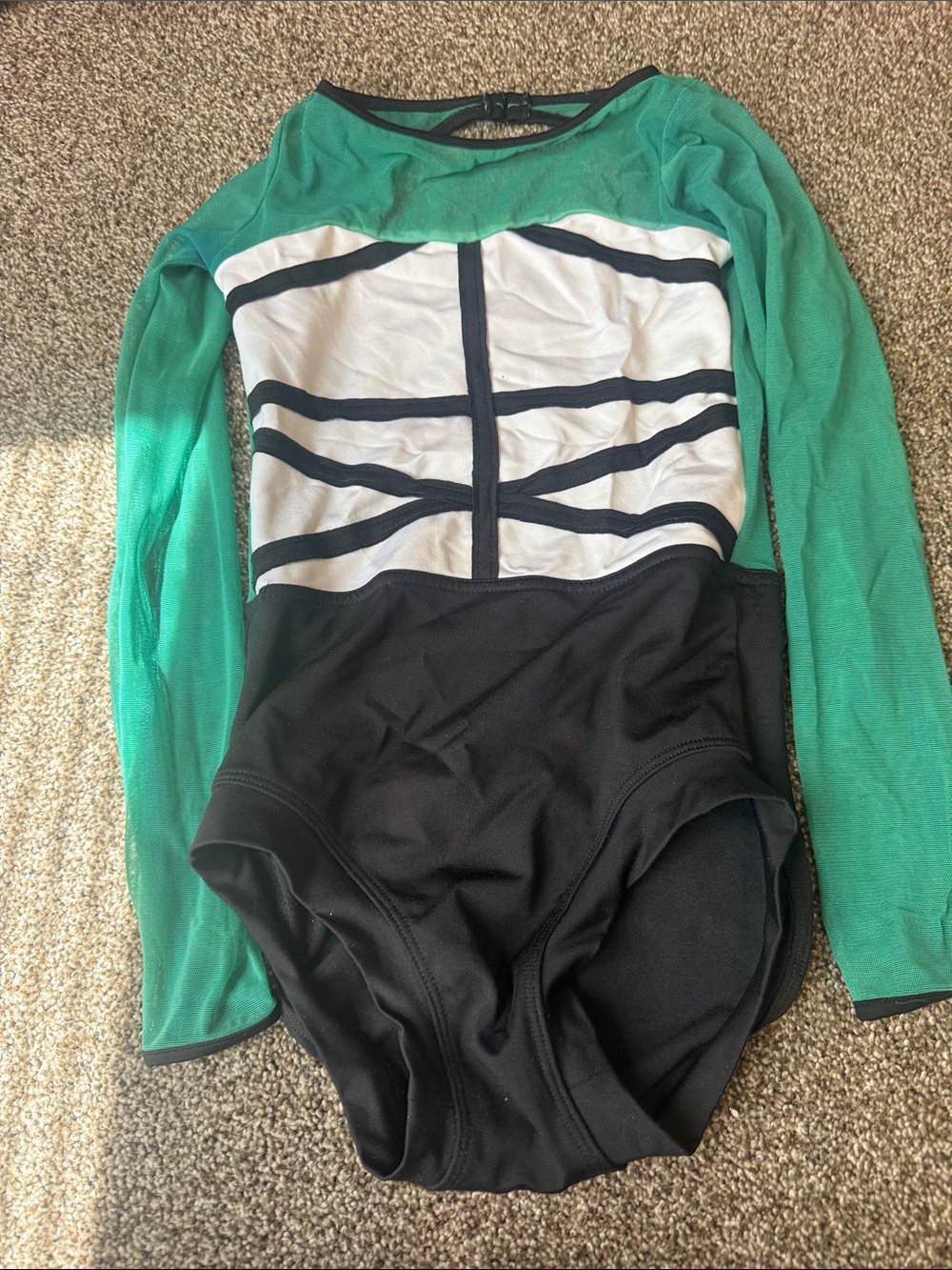 Green Mesh Long-Sleeve Colorblock Leotard